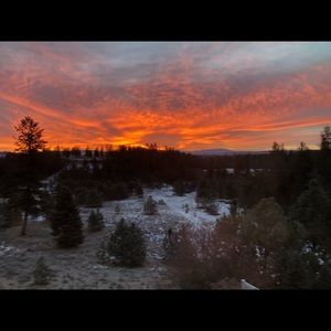 Meet your Posher, Rory